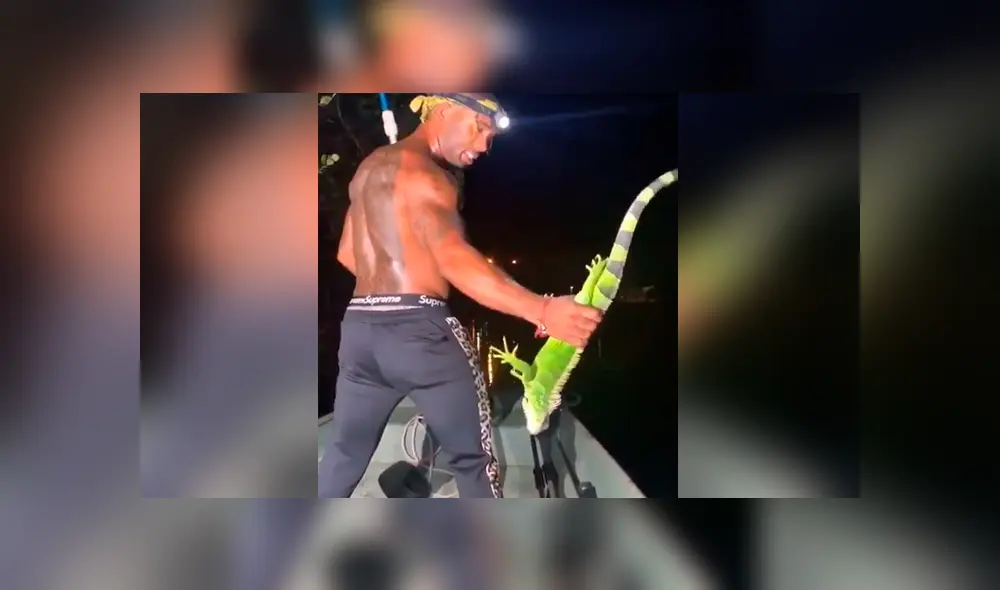 Una misteriosa criatura que estaba en un árbol se abalanzó contra un hombre.