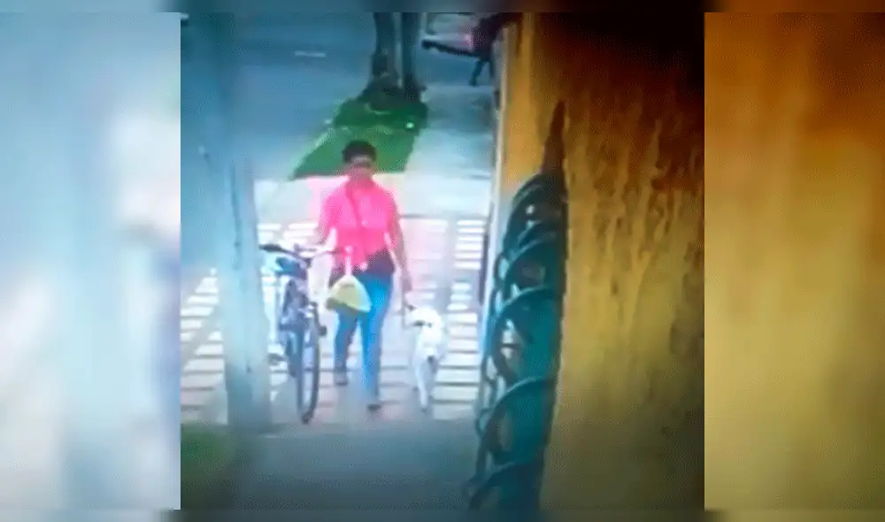 Facebook: Indignación por mujer que abandona a perro en plena calle