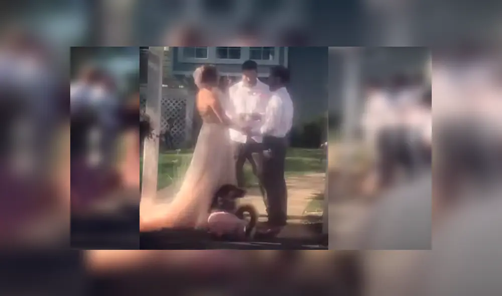 La novia quiso tener a una de sus perras como dama de honor, sin imaginar el bochornoso momento que esta la haría pasar. Video es viral en YouTube La novia quiso tener a una de sus perras como dama de honor, sin imaginar el bochornoso momento que esta la haría pasar. Video es viral en YouTube