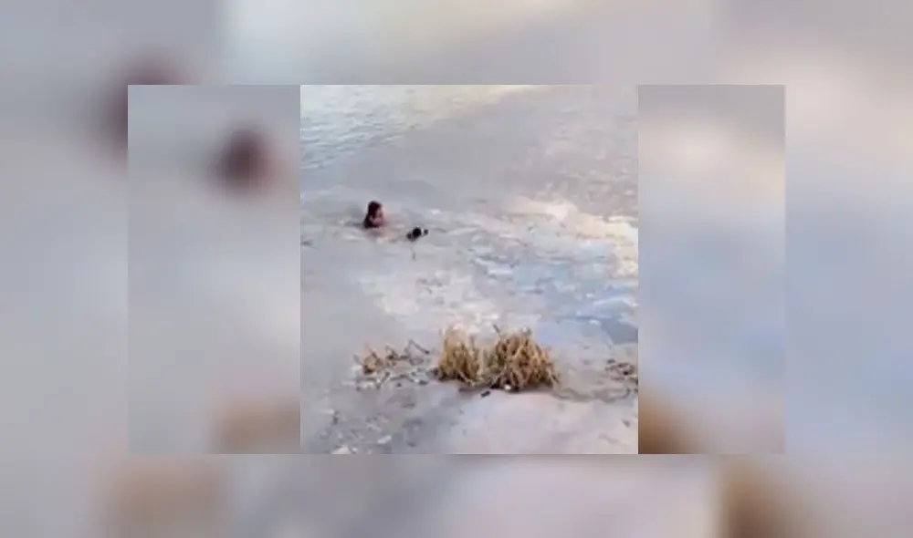 Desliza para enterarte de la valiente hazaña de una mujer que vio que su perro se ahoga en estanque congelado. Foto: Captura Desliza para enterarte de la valiente hazaña de una mujer que vio que su perro se ahoga en estanque congelado. Foto: Captura