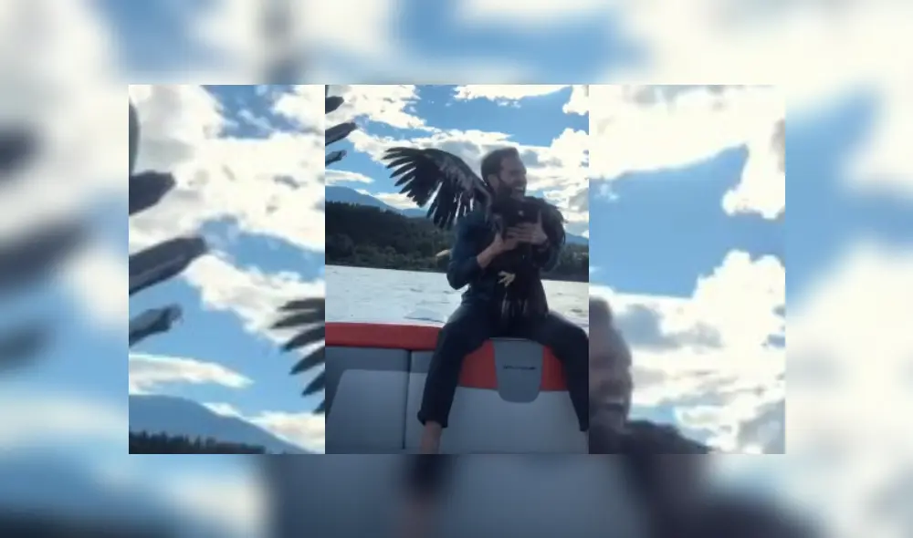 Video es viral en Facebook. Hombre se encontraba de paseo navegando por un lago junto a su esposa y su bebé, cuando se percató de un gigante pájaro incapaz de salir del agua. Fotocaptura: YouTube Video es viral en Facebook. Hombre se encontraba de paseo navegando por un lago junto a su esposa y su bebé, cuando se percató de un gigante pájaro incapaz de salir del agua. Fotocaptura: YouTube