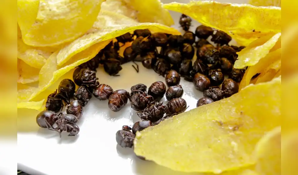 Semana turística de Moyobamba [FOTOS]