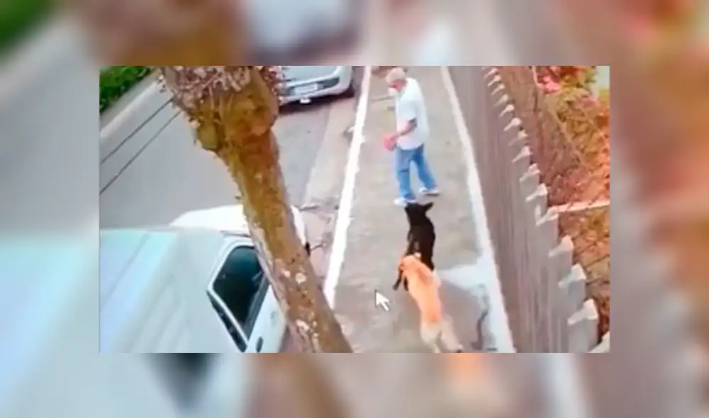 Antônio Rodrigues jamás imaginó que la muerte lo sorprendería camino a casa. Foto: Captura. Antônio Rodrigues jamás imaginó que la muerte lo sorprendería camino a casa. Foto: Captura.
