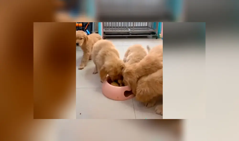 Desliza para ver todas las fotos de Facebook. Foto: captura