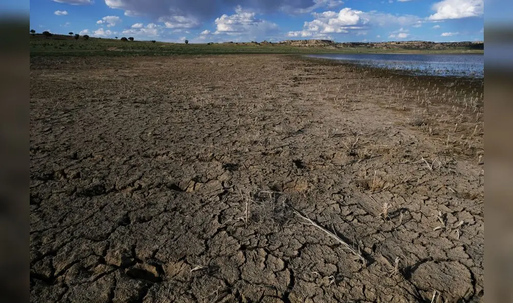 California, potencia agrícola de Estados Unidos, sufrió largos periodos de sequía en los últimos años. Crédito AFP
