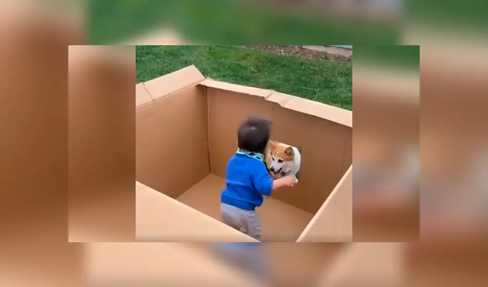 Desliza las imágenes para apreciar el conmovedor momento entre un bebé junto a su adorada mascota.