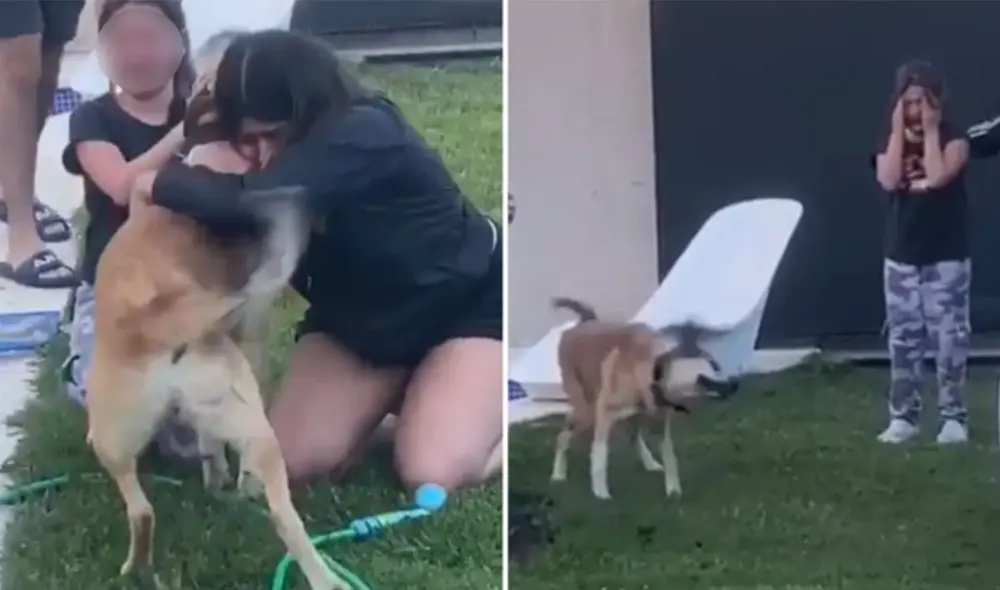 Desliza las imágenes para conocer más sobre esta conmovedora escena entre dos hermanas y su perro Oscar, que estuvo varias semanas perdido. Foto: captura de Instagram Desliza las imágenes para conocer más sobre esta conmovedora escena entre dos hermanas y su perro Oscar, que estuvo varias semanas perdido. Foto: captura de Instagram