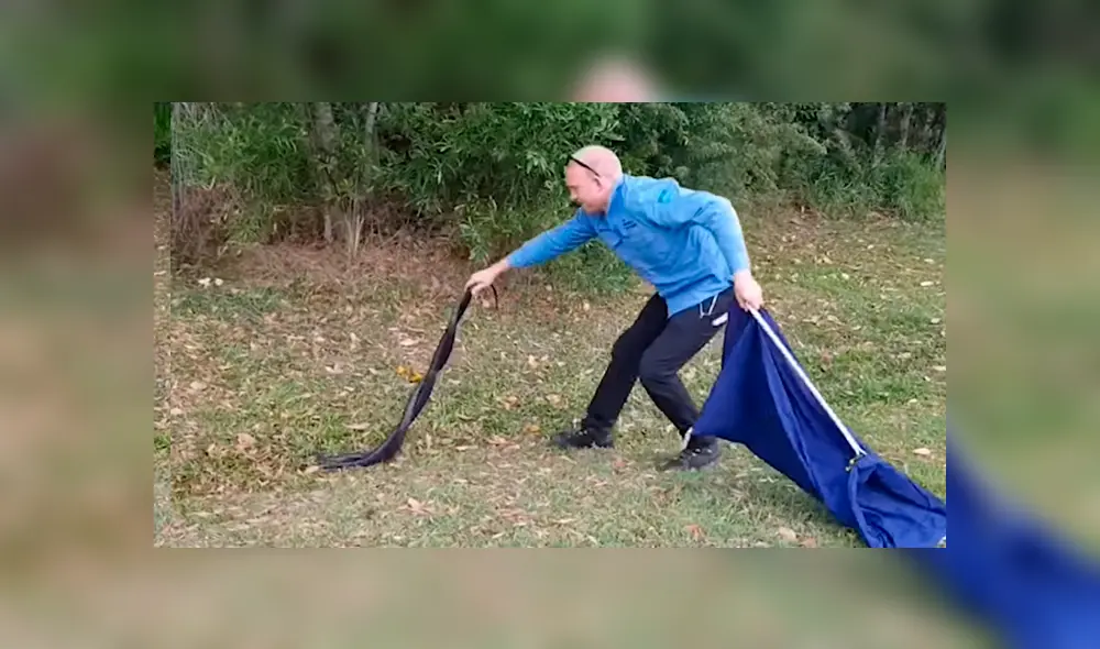 YouTube viral: creyó encontrar a dos serpientes 'apareándose', se acerca y queda aterrado al descubrir la verdad