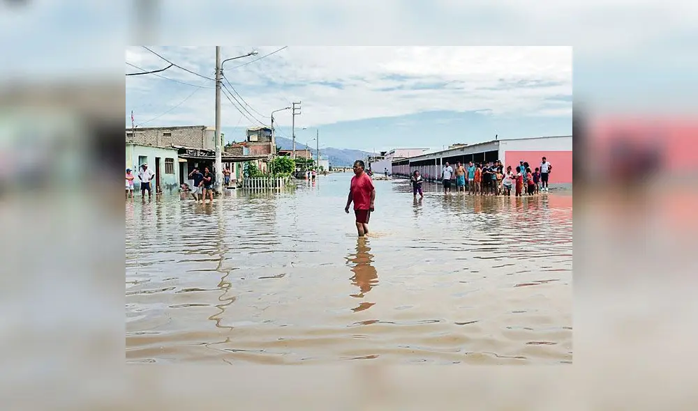 Red de Salud advierte la presencia de una nueva especie de zancudo