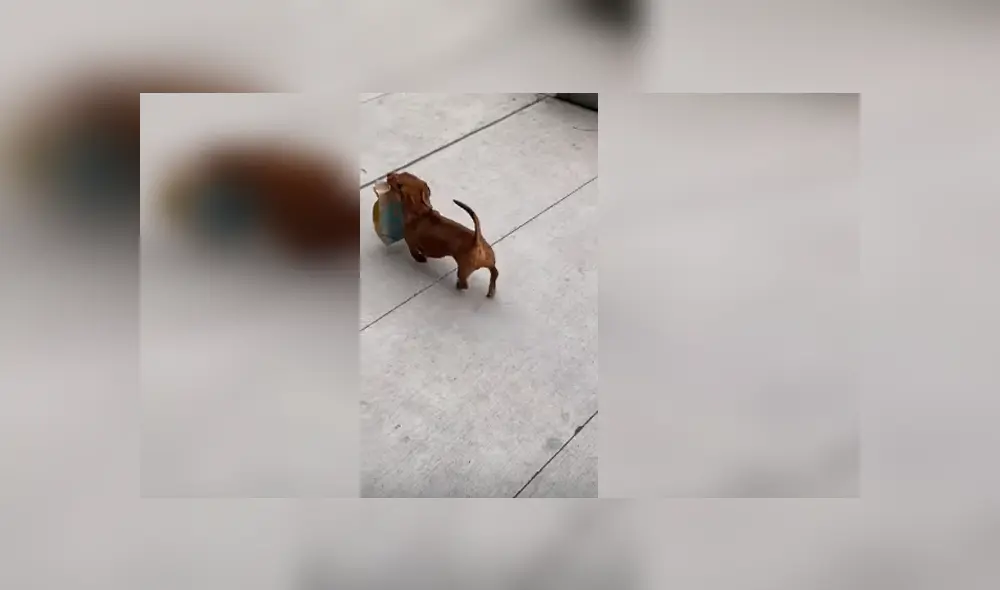 Desliza para ver los detalles del video viral publicado en YouTube. Foto: Captura. Desliza para ver los detalles del video viral publicado en YouTube. Foto: Captura.