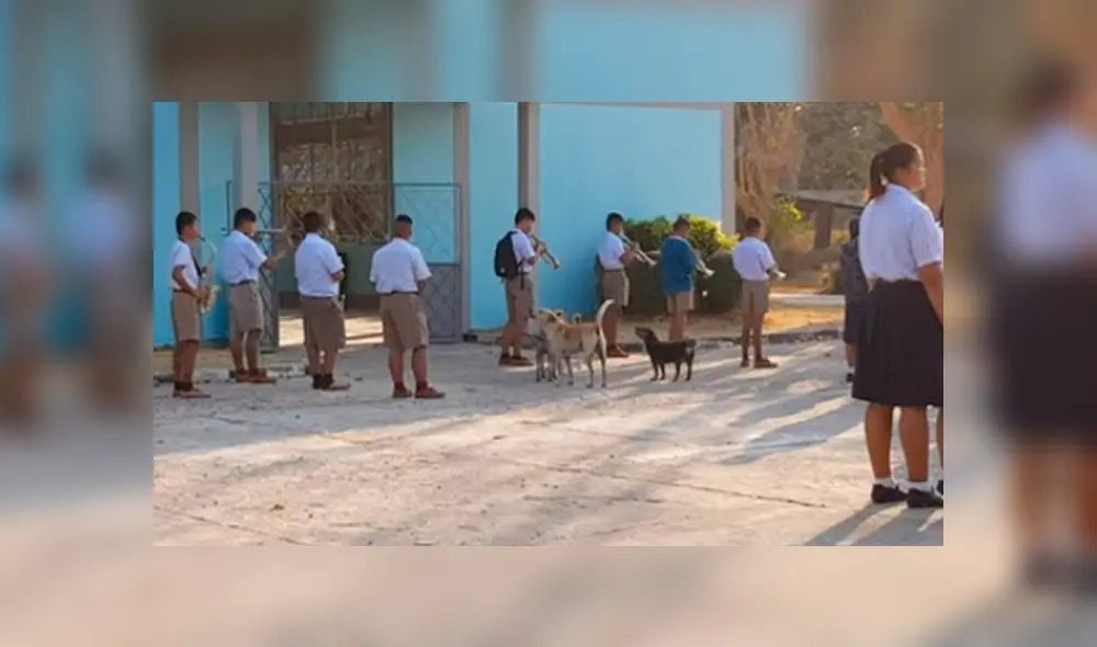 Vía Facebook. Perros callejeros protagonizaron una insólita escena durante la formación escolar de una institución educativa