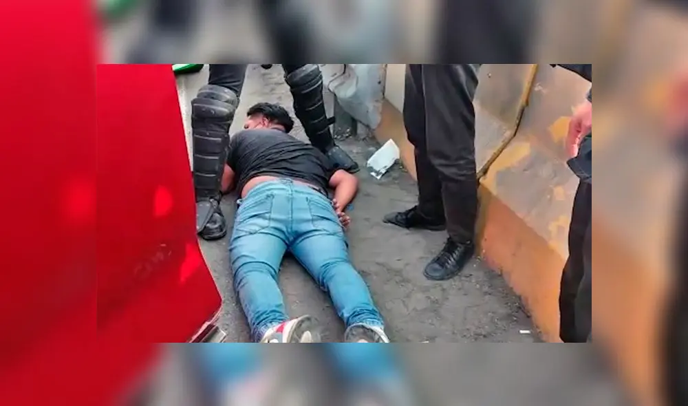 Foto: Cortestía/Municipalidad de Surco. Foto: Cortestía/Municipalidad de Surco.