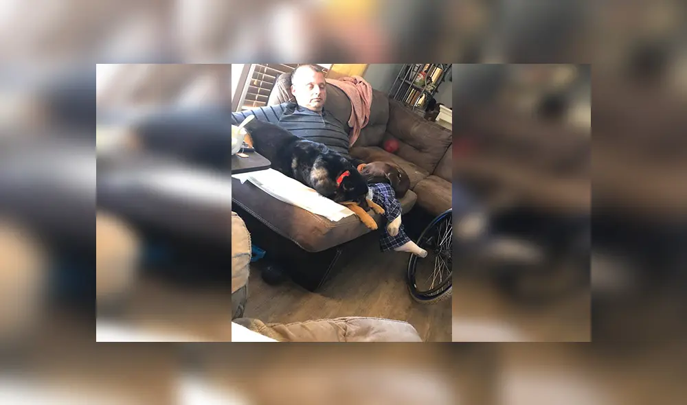 Desliza las imágenes para observar la emotiva acción del hombre al acoger a un indefenso perro que fue rechazado. Desliza las imágenes para observar la emotiva acción del hombre al acoger a un indefenso perro que fue rechazado.