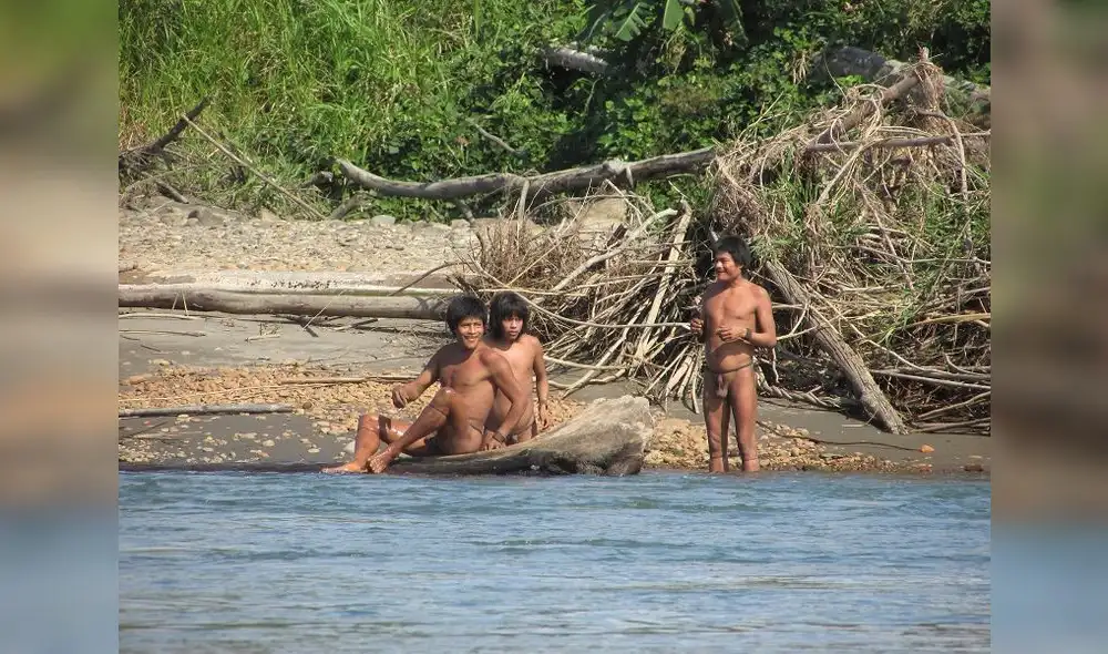 Analizarán situación de nativos peruanos en aislamiento