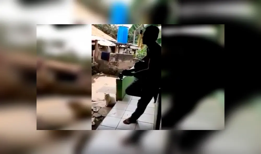 En YouTube, un joven interpretó una canción romántica y se sorprendió al tener como compañero a su gato. En YouTube, un joven interpretó una canción romántica y se sorprendió al tener como compañero a su gato.