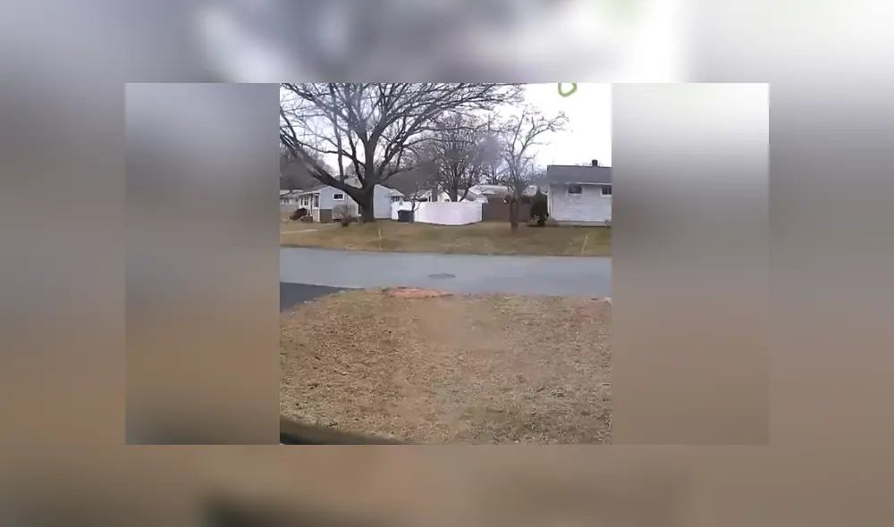 Mediante YouTube se compartió un video que muestra la divertida reacción de un perro al ver una cámara de seguridad en su casa.