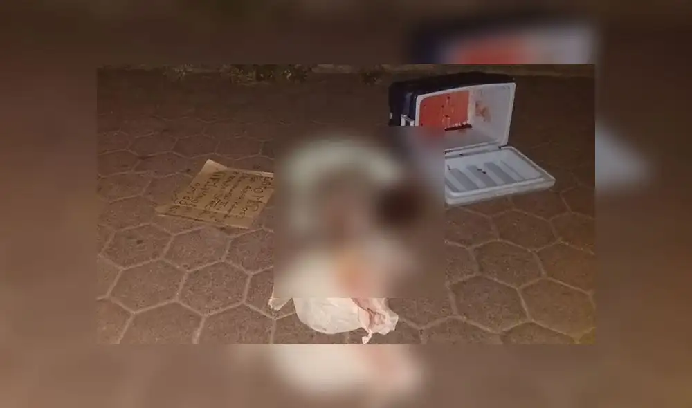 El aterrador mensaje que hallaron junto al cuerpo descuartizado dentro de una hielera