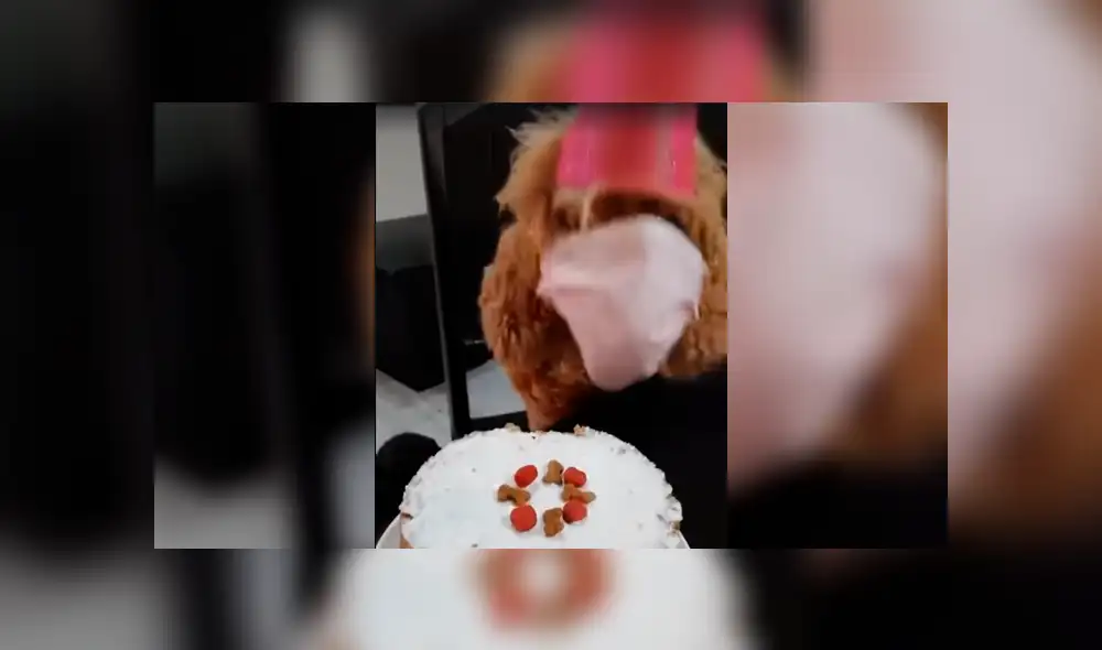 Desliza la imagen de TikTok para verlas todas.