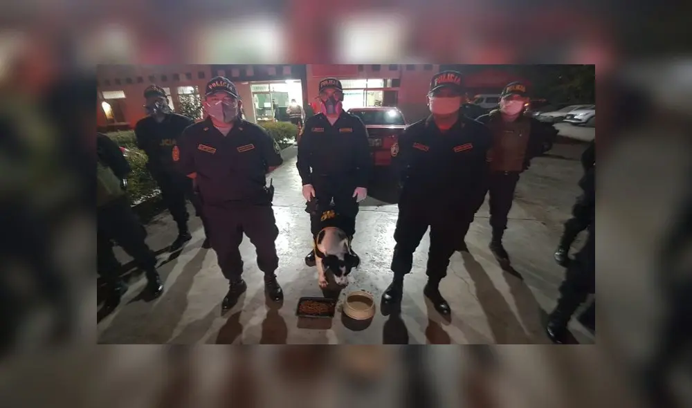 Manchas forma parte de la familia de la comisaría Palomino ubicado en Cercado de Lima. Créditos: URPI-GLR. Manchas forma parte de la familia de la comisaría Palomino ubicado en Cercado de Lima. Créditos: URPI-GLR.