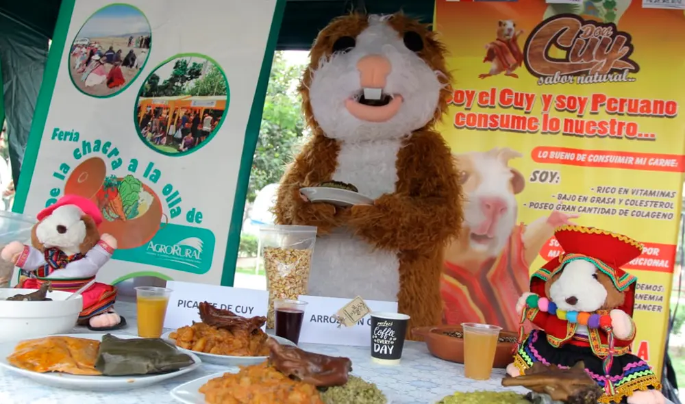 Día Nacional del Cuy: feria “De la chacra a la olla” ofreció variedad de platos Día Nacional del Cuy: feria “De la chacra a la olla” ofreció variedad de platos