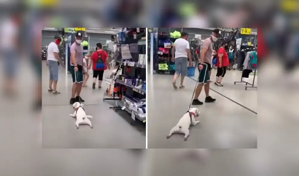 Desliza hacia la izquierda para ver las imágenes del viral de YouTube. Foto: Captura. Desliza hacia la izquierda para ver las imágenes del viral de YouTube. Foto: Captura.