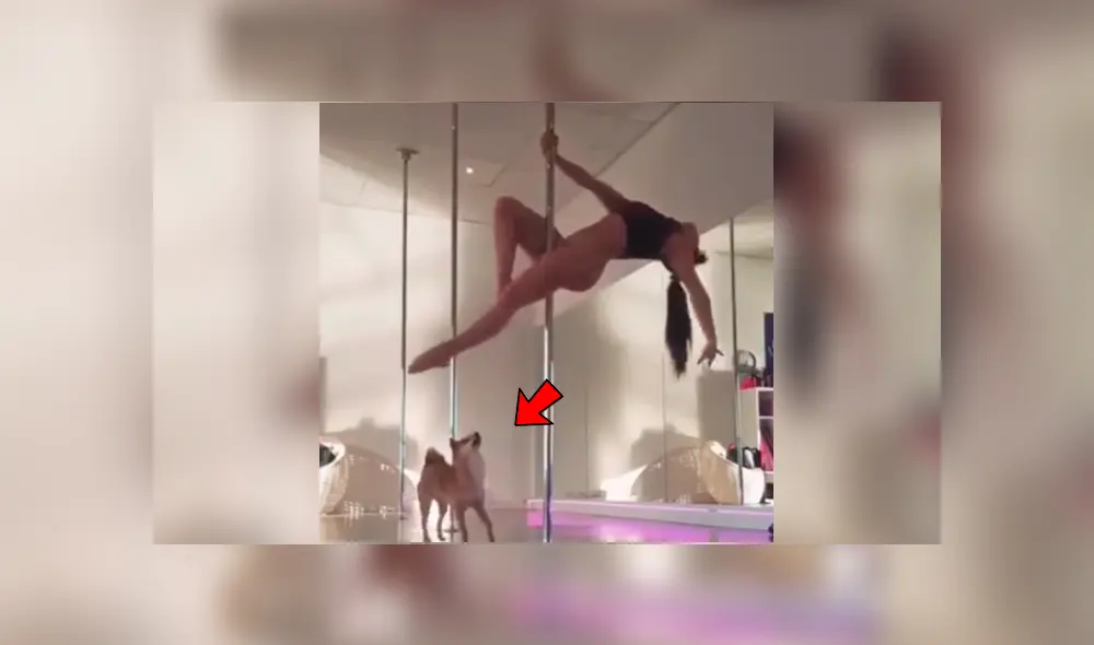 YouTube viral: bella joven hace sexy baile de ‘pole dance’ y su perro le arruina su presentación [VIDEO]
