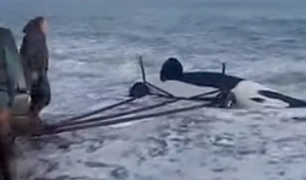 La orca pudo volver a la seguridad del océano por su cuenta. Foto: MagadanMedia / YouTube