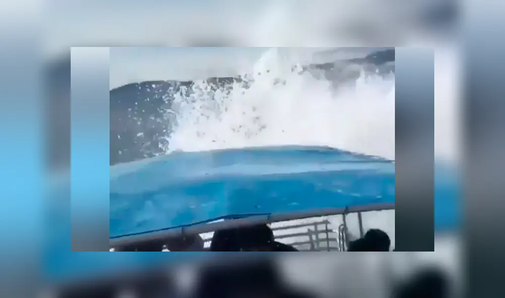 El video viral de Facebook registró el momento en que una ballena emergió del mar para realizar increíble pirueta.