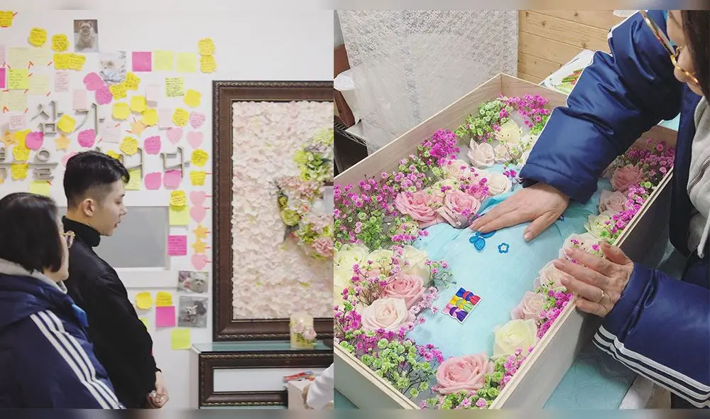 2AM: Haengeun, mascota de Jo Kwon, vivió durante 17 años junto al artista.