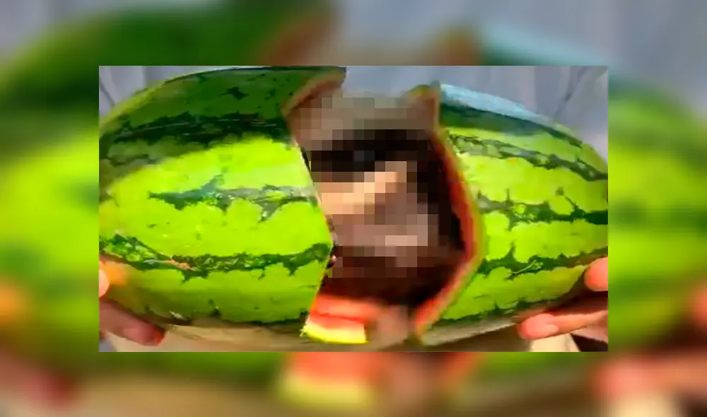 El momento en el que una criatura sale de una sandía se ha vuelto viral en redes.