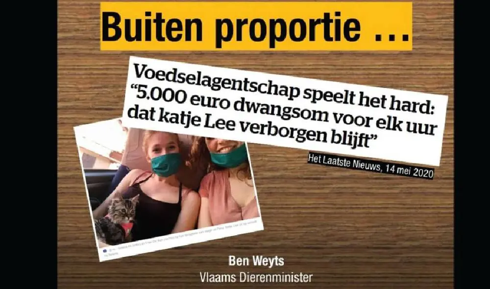 Lee fue adoptado en Cusco pero podría ser sacrificado en Bélgica. Foto: Facebook