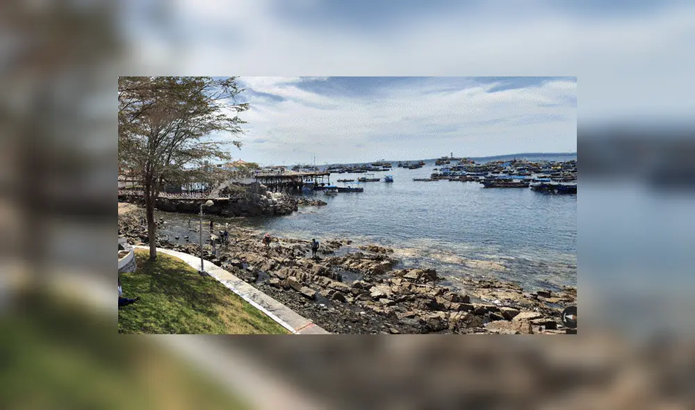 Google Maps: 'Extraña sirena' es hallada en orilla del mar de Moquegua y deja en impactado a miles [FOTOS]