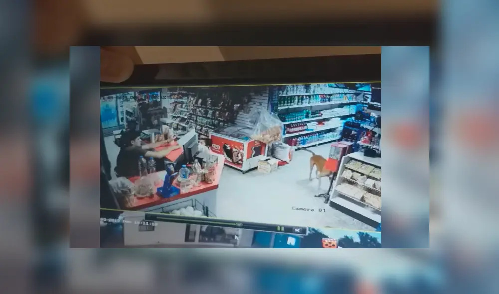 Desliza para ver el desenlace de este video viral de YouTube. Foto: Captura. Desliza para ver el desenlace de este video viral de YouTube. Foto: Captura.