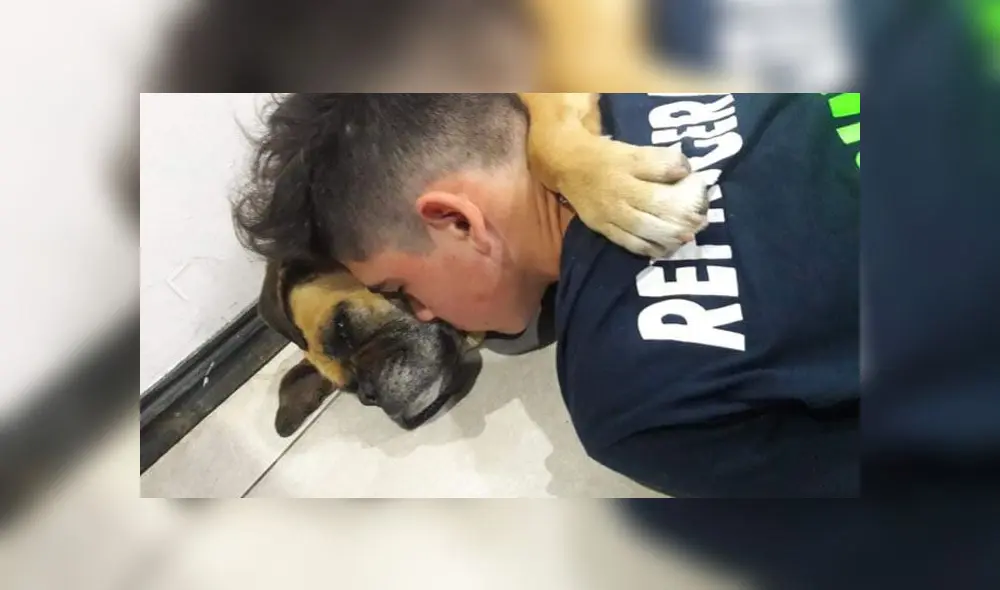 La perrita Magui falleció aparentemente por un ataque al corazón. Foto: captura La perrita Magui falleció aparentemente por un ataque al corazón. Foto: captura