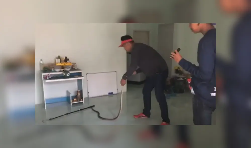 Desliza hacia la izquierda para ver las imágenes del viral de YouTube. Desliza hacia la izquierda para ver las imágenes del viral de YouTube.