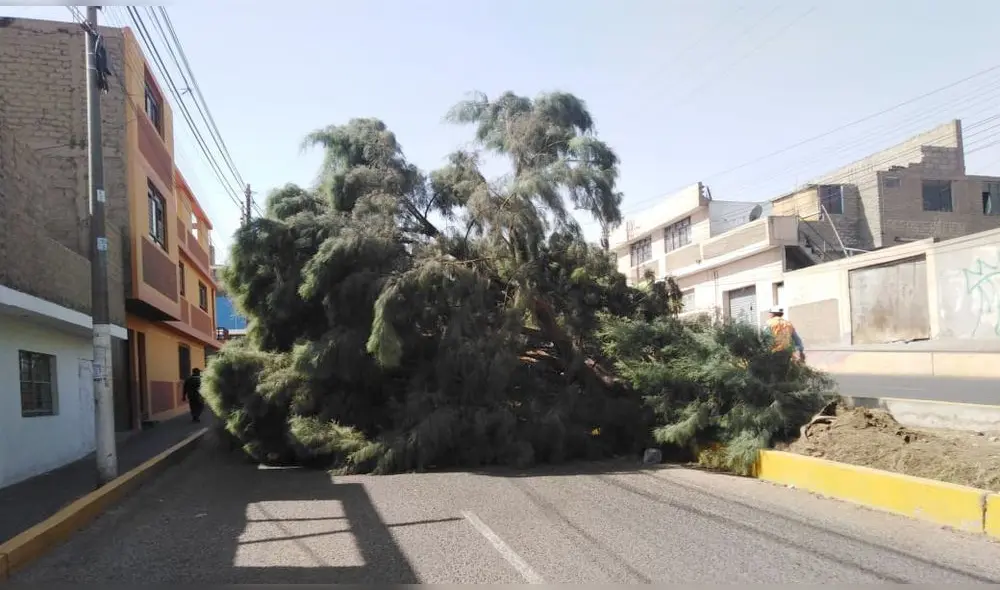 Moquegua. Fuertes vientos provocaron daños materiales en Ilo. Moquegua. Fuertes vientos provocaron daños materiales en Ilo.