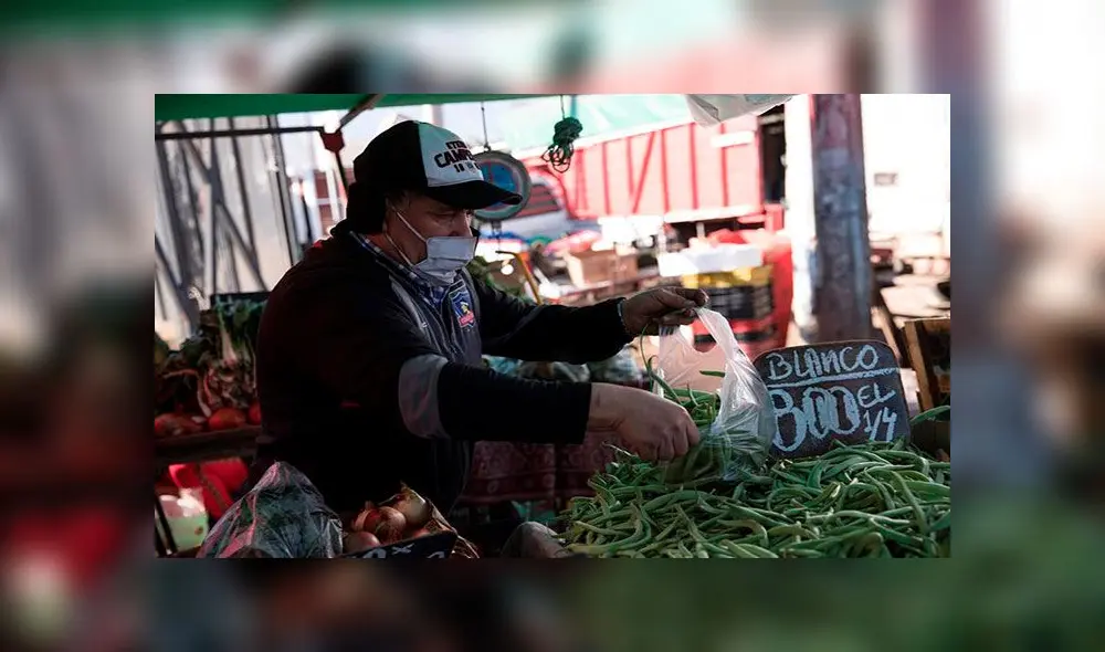 Un trabajador de una feria libre pone verduras en bolsas plásticas, el 31 de julio de 2020 en la comuna de Peñalolén, en Santiago (Chile). Foto: EFE