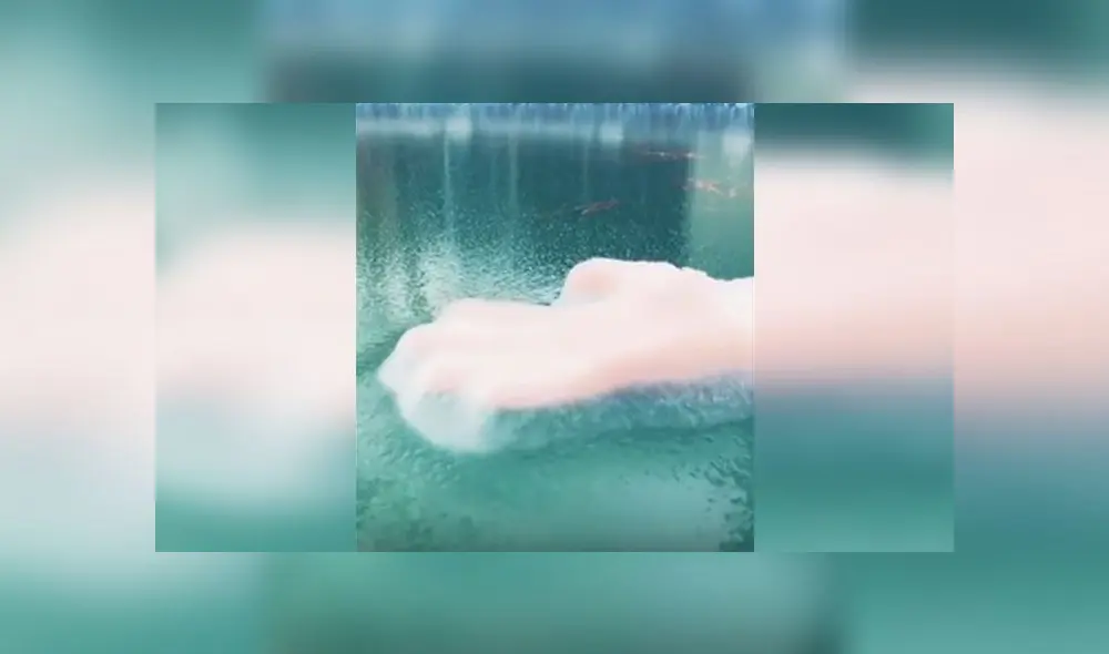 Desliza para conocer el fenómeno natural que se ha vuelto viral en redes. Foto: Captura. Desliza para conocer el fenómeno natural que se ha vuelto viral en redes. Foto: Captura.