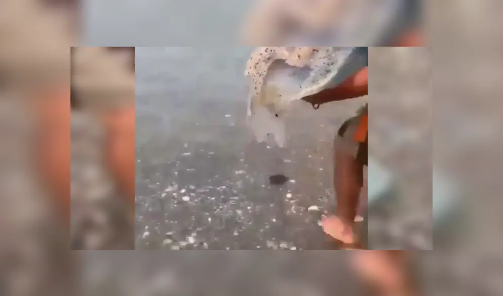 En Facebook se hizo viral el extraño aspecto de una criatura que atrapó un pescador.
