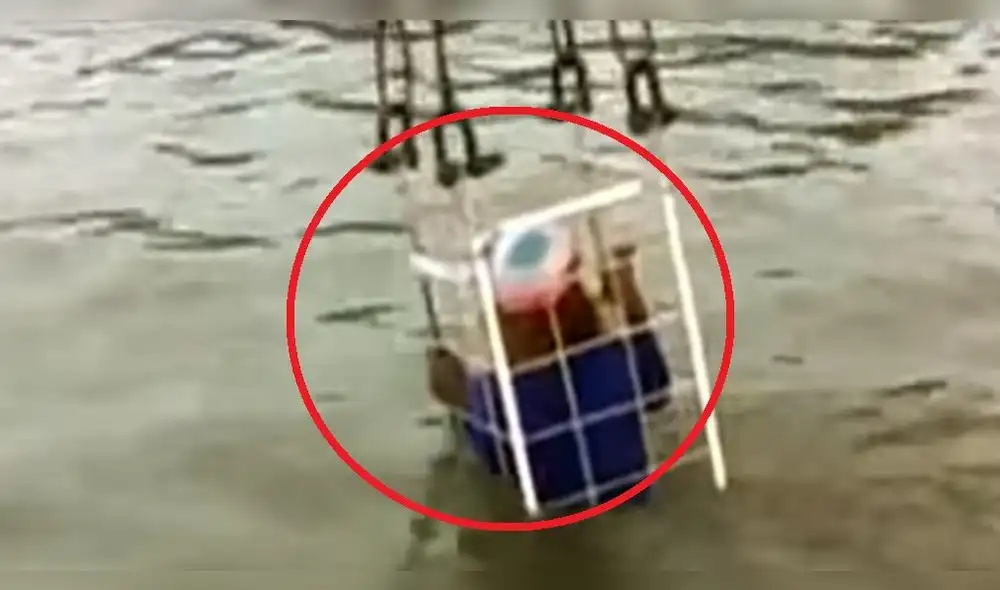 Mago de India se encerró en una jaula y se sumergió en el río: aún lo buscan Mago de India se encerró en una jaula y se sumergió en el río: aún lo buscan