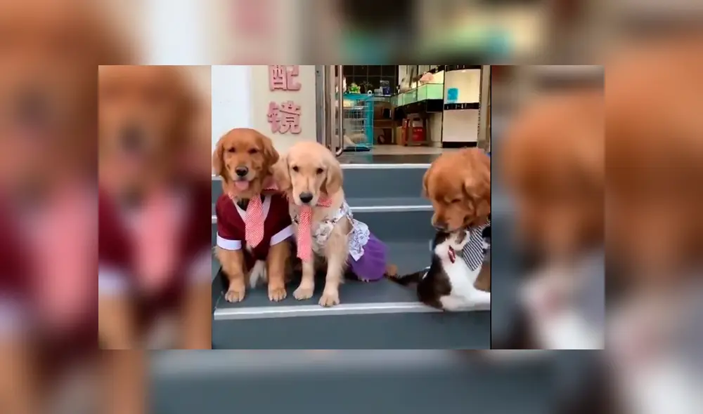 Desliza la imagen de Facebook para verlas todas. Desliza la imagen de Facebook para verlas todas.