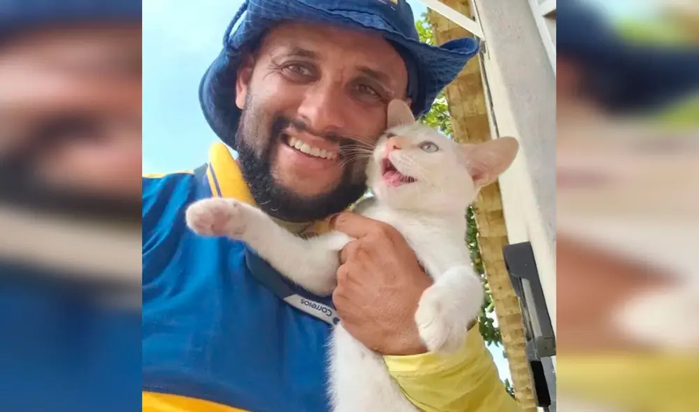 Desliza las imágenes para conocer la historia de un cartero quien ayuda a perros y gatos que viven en la calle. Foto: Instagram