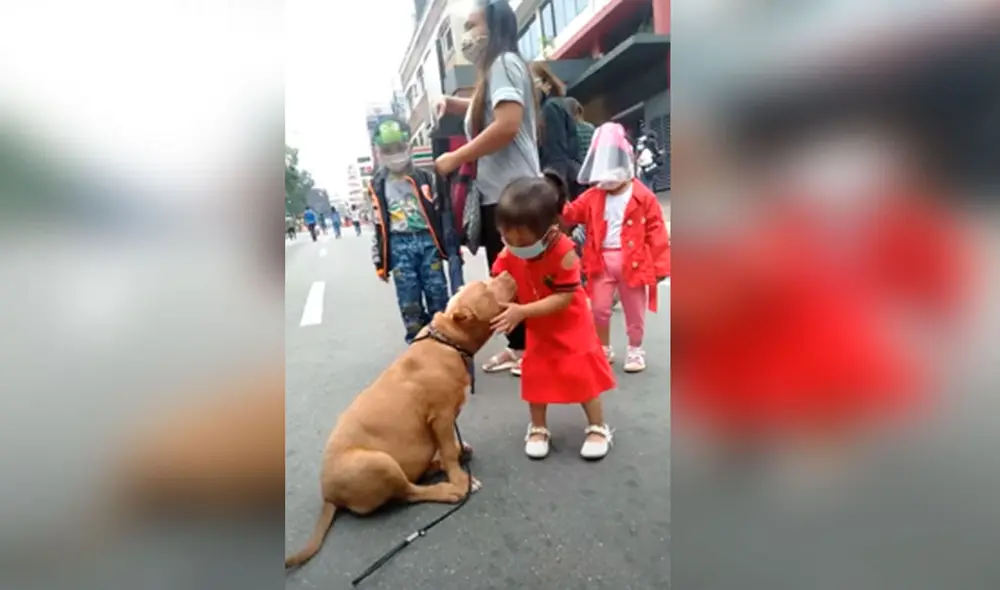 Desliza las imágenes para ver la tierna escena que protagonizó una pequeña al abrazar a un perro que conoció en la calle. Foto: captura de YouTube