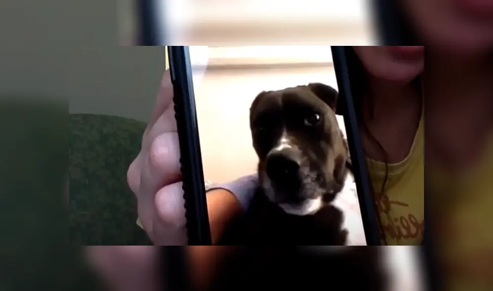 Desliza la imagen de Facebook para ver todas las fotos. Desliza la imagen de Facebook para ver todas las fotos.