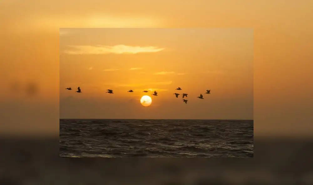 Siempre Máncora: verano pacífico