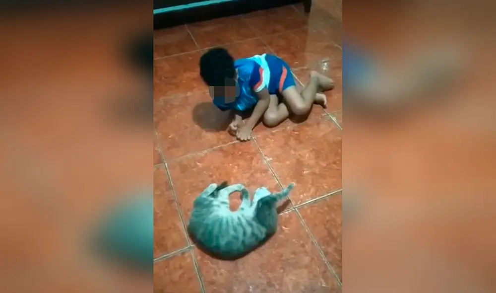 Desliza las imágenes para apreciar el amoroso momento entre un niño y su gato tras quedarse solos en casa. Foto: captura de Facebook