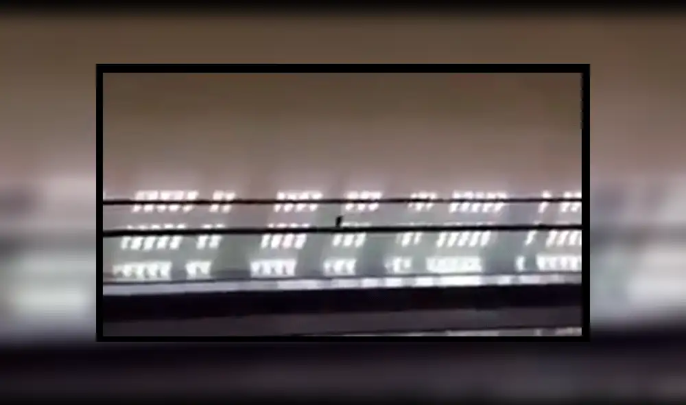 Twitter: captan a paloma haciendo el 'moonwalk' de Michael Jackson [VIDEO]