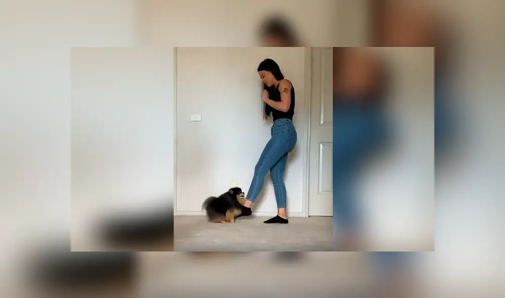 Desliza las imágenes hacia la izquierda para apreciar la divertida coreografía que realizó un perro con su dueña. Desliza las imágenes hacia la izquierda para apreciar la divertida coreografía que realizó un perro con su dueña.