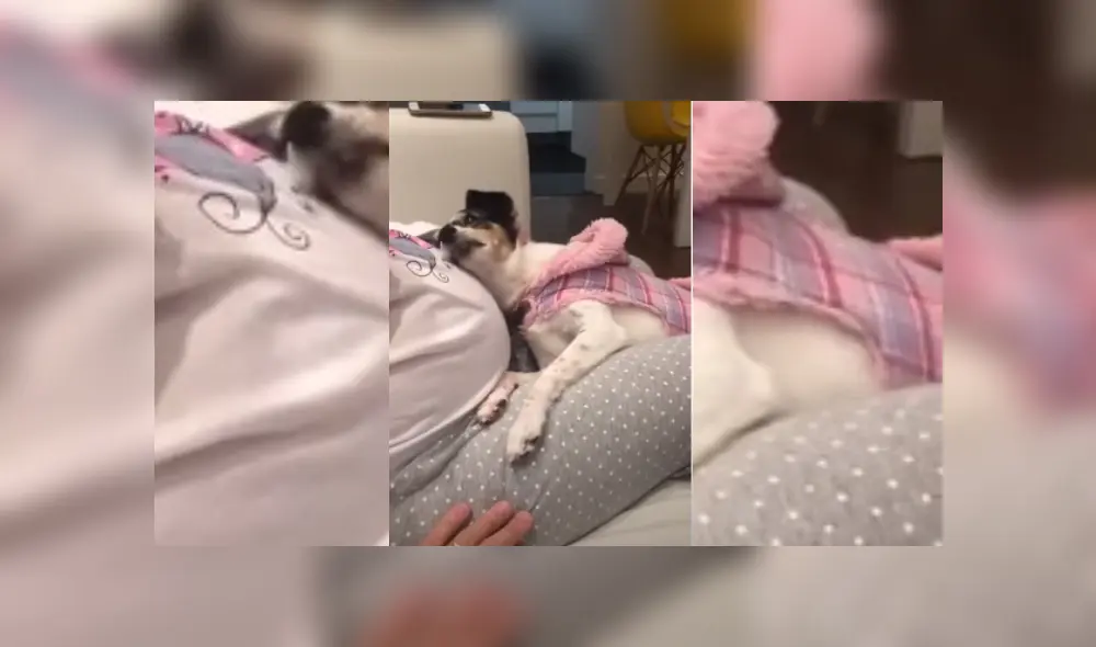 Desliza hacia la izquierda para ver más del video viral Desliza hacia la izquierda para ver más del video viral