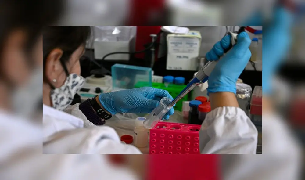 Un sinfín de países realizan estudios vinculados con el coronavirus SARS-CoV-2. Foto: AFP Un sinfín de países realizan estudios vinculados con el coronavirus SARS-CoV-2. Foto: AFP